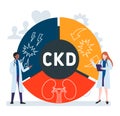 Flat design with people. CKD - Chronic Kidney Disease acronym, medical concept.