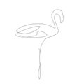 Flamingo birds line drawing. Wild animal line draw vector illustration