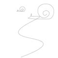 Snails animals line drawing. Vector