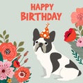 Birthday card with funny bulldog and flowers. Vector holiday illustration.