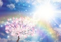 Wish Tree, spiritual healing, rainbow on sky over clouds, bright sun aura Royalty Free Stock Photo