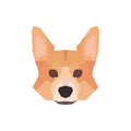 Low poly Welsh Corgi head