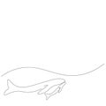 Whale family line drawing. Vector