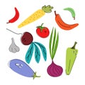 Hand-drawn vector illustration of vegetables. Food. Carrots, sweet bell peppers, hot green and red peppers, tomato, garlic, beets, Royalty Free Stock Photo