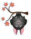 Cute fat bat hangs upside down on a maple branch - vector full color illustration. A bat on an autumn tree getting ready for bed -