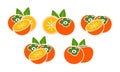 Persimmon logo. Isolated persimm on white background