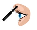 Applying mascara, blue eye on isolated white background Royalty Free Stock Photo