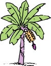 Banana tree illustration design on white Royalty Free Stock Photo