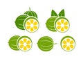 Monk fruit logo. Isolated monk fruit on white background