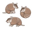 Armadillo cartoon in different poses vector illustration set