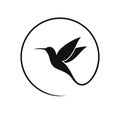 Hummingbird logo. Isolated hummingbird on white background