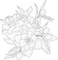 Realistic magnolia flowers bouquet sketch template.