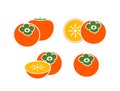 Persimmon logo. Isolated persimm on white background