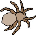 Spider illustration design on white