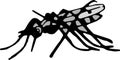 Mosquito illustration design on white