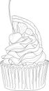 Realistic cupcake with cream, orange slice and cherry sketch template.