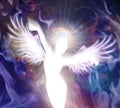 Angel of light and love doing a miracle Royalty Free Stock Photo