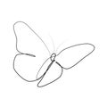 Butterly one line graphic vector