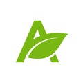 Letter A leaf green logo