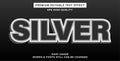 silver editable text effect style