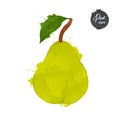 Pear with Leaf isolated on white background. watercolour style Vector illustration.