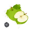 Green apple with leaf and slice isolated on white background. watercolour style Vector illustration. Royalty Free Stock Photo