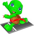 Turtle running, turtle crossing the finish line, turtle fast is the winner