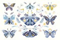 Butterflies, moths and flowers collection with abstract decorative modern design Royalty Free Stock Photo