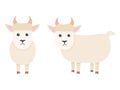 Cute goat character. Cartoon farm animal. Vector illsutration