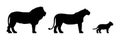 Black silhouettes of lion, lioness and cub