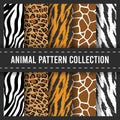 Seamless Pattern Background African Animal Print Zebra Tiger Leopard Giraffe