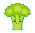 Vector illustration of a cartoon broccoli. Kawaii cabbage. Vegan food. Smiling character. Royalty Free Stock Photo