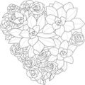 Realistic rose flowers and succulent plants bouquet in heart shape sketch template. Vector illustration in black and white Royalty Free Stock Photo