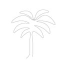 Palm tree drawi on white background vector illustration Royalty Free Stock Photo