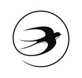 Swallow logo. Isolated swallow on white background