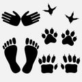 Human Animal Footprints