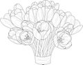 Realistic spring tulip flower bouquet sketch template. Graphic vector illustration in black and white