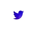 Twitter Social network company icon bird icon template sign design