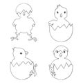 Easter chicks with egg shells - vector illustration.