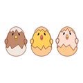 Easter chicks with egg shells - vector illustration.