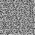 abstract simple seamless pattern many small dots spots on a contrasting background. Leopard background black and white Royalty Free Stock Photo