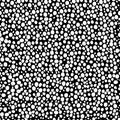 abstract simple seamless pattern many small dots spots on a contrasting background. Leopard background black and white