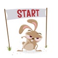 Funny cartoon rabbit is ready to start