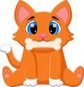 Cute cat biting bone Royalty Free Stock Photo