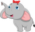 Cute baby elephant cartoon on a white background Royalty Free Stock Photo