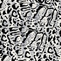 Clouded leopard wild animal pattern in vector Royalty Free Stock Photo