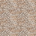 Cheetah seamless vector pattern. Silk fabric with small circles brown color