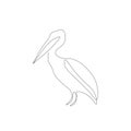 Pelicans silhouette on white background line drawing design, vector illustration