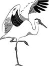 Whooping crane