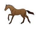 Bay horse galloping - vector full color illustration. A galloping stallion. Beautiful graceful horse on the run. Galloping pony.